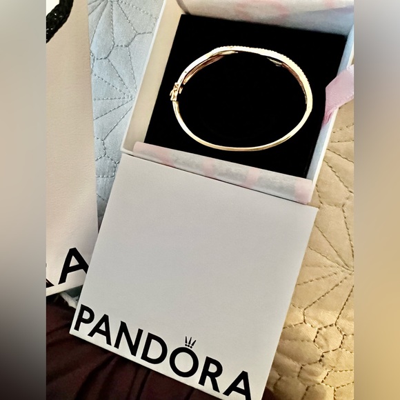 Brandnew Pandora Bag, Boxe and dust bag - Picture 2 of 5